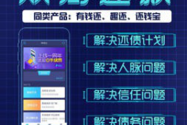 新泰为什么选择专业追讨公司来处理您的债务纠纷？